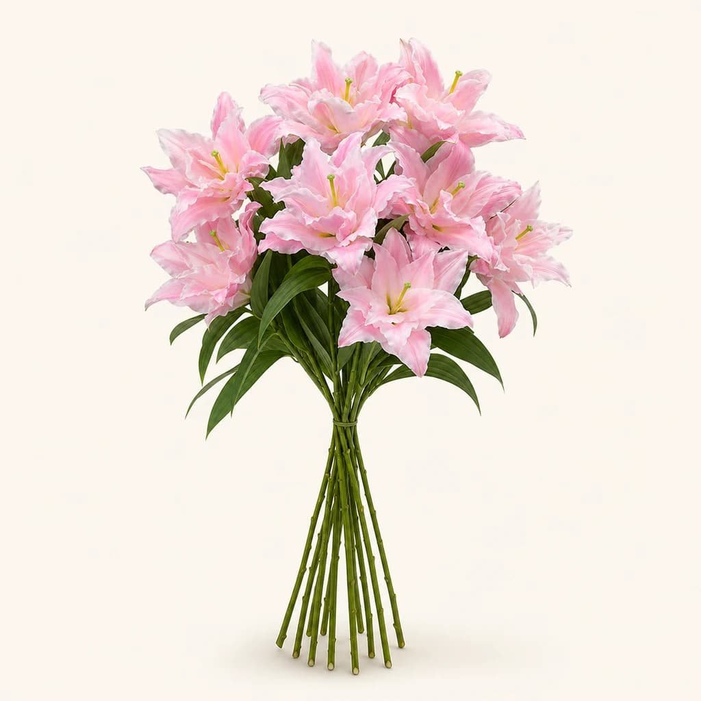 Lilium Oriental Amistad