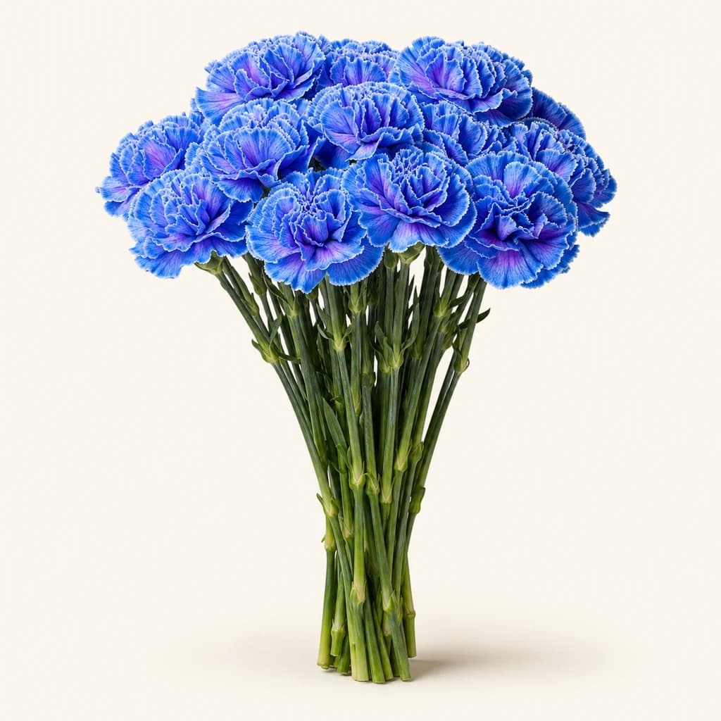 Clavel Blue Molly azul teñido
