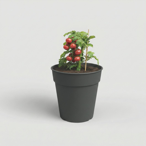 Testera Madagascar antracita, 1 o 4 unitats de 18,2-22,2 cm d'alçada Artevasi