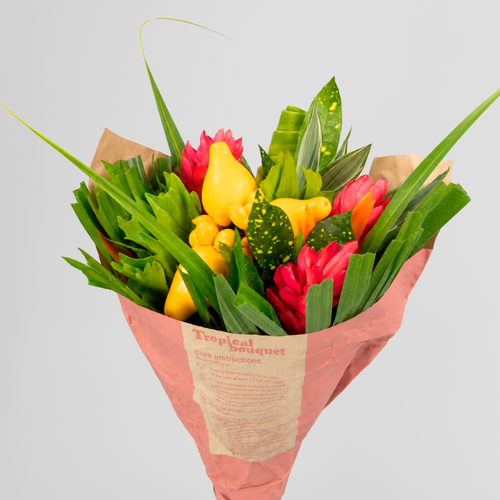 Ramo tropical Tuti, Flor fresca de 50 cm de largo