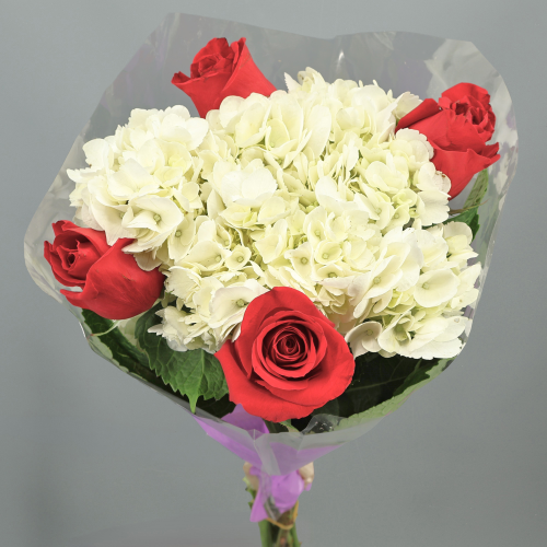 Ramo de Hortensia e Rosa Vermelha, 50 cm de haste