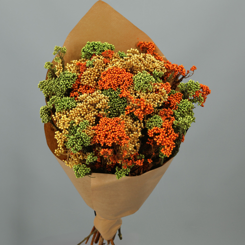 Flor de arroz preservada Amarillo y Naranja