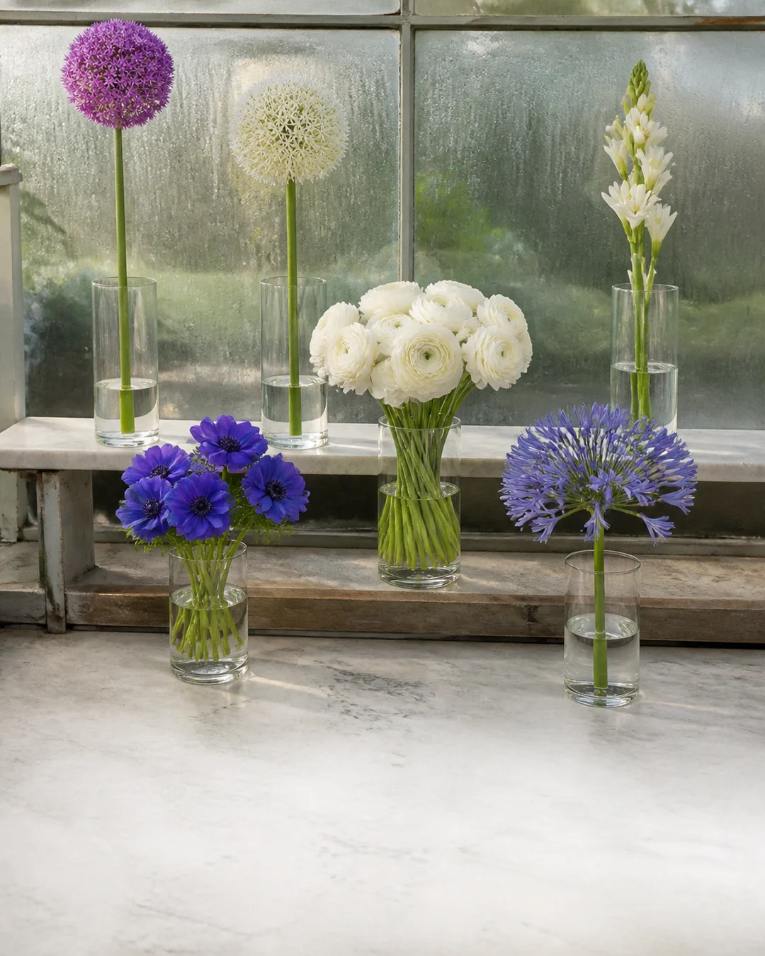 Bulbs de Flors