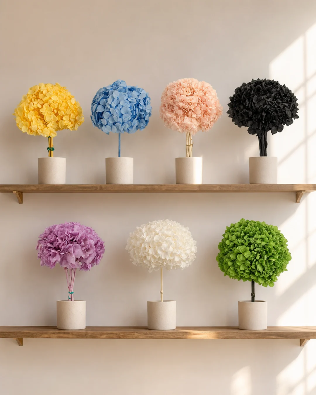 Hortensia Preservada