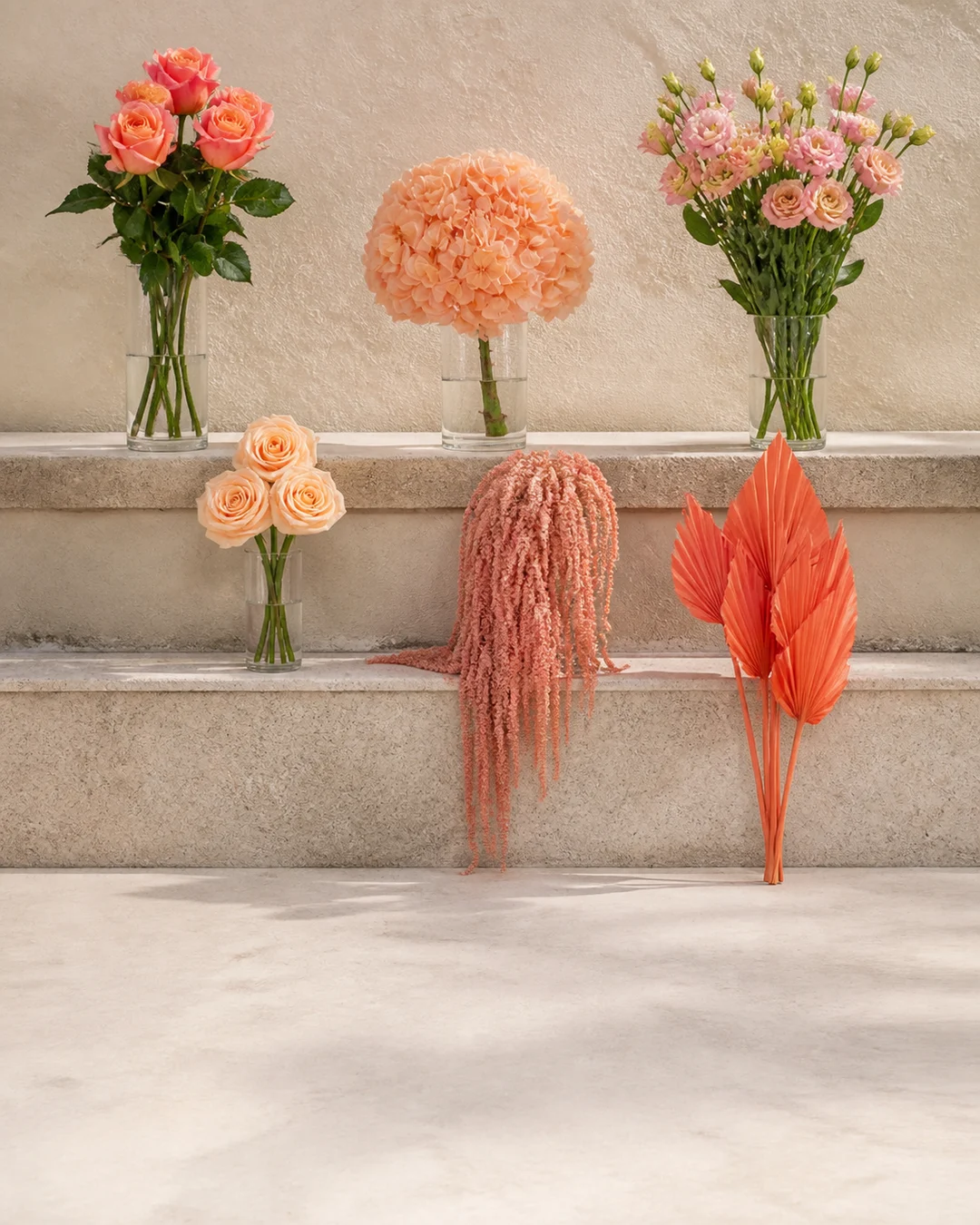 Saumon et Corail