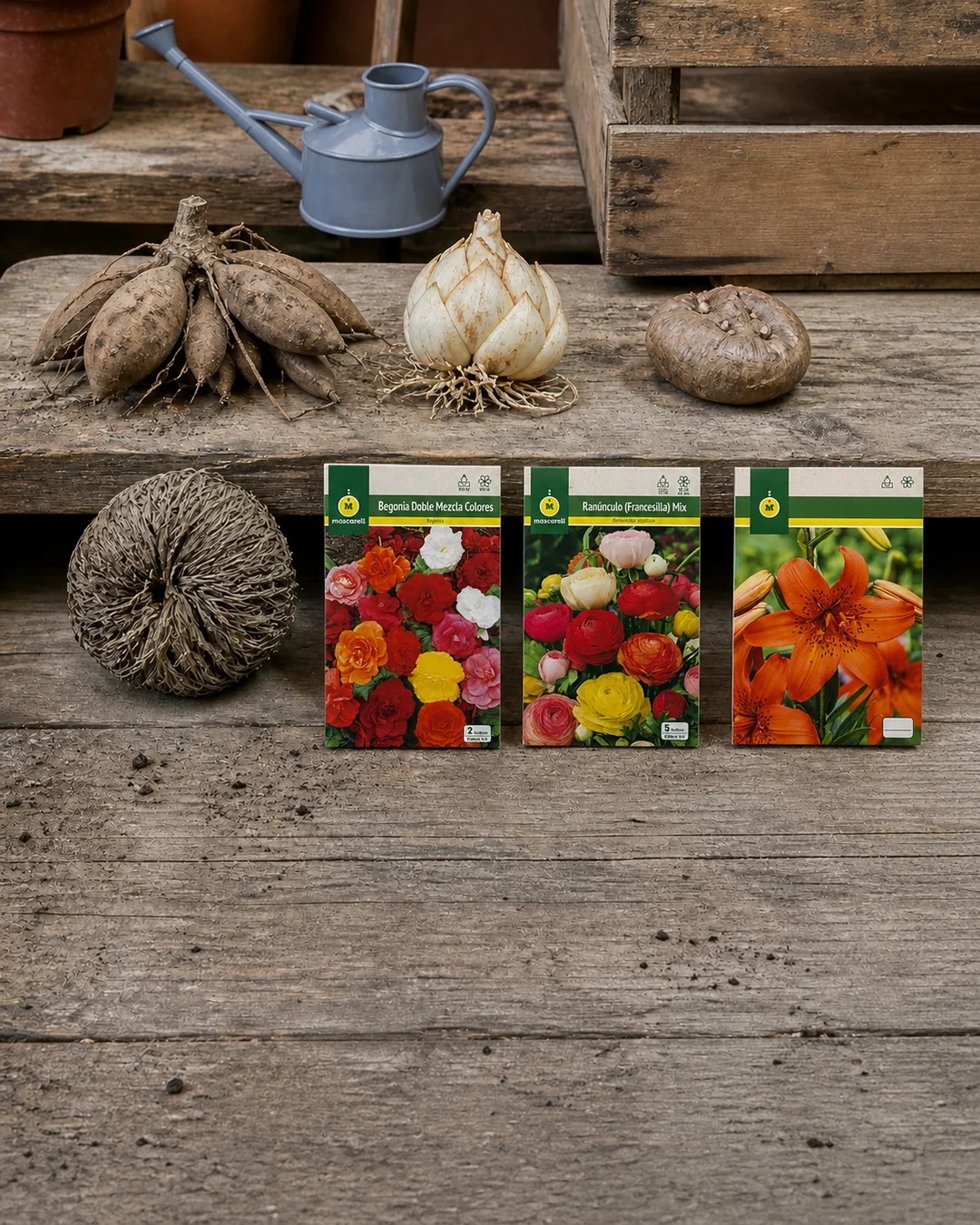 Bulbs per Plantar